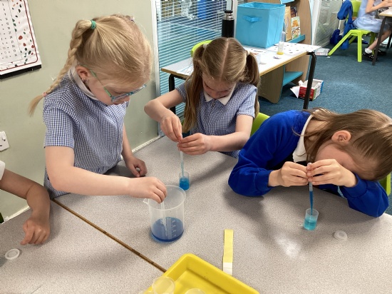 Mini Professors make crystals!