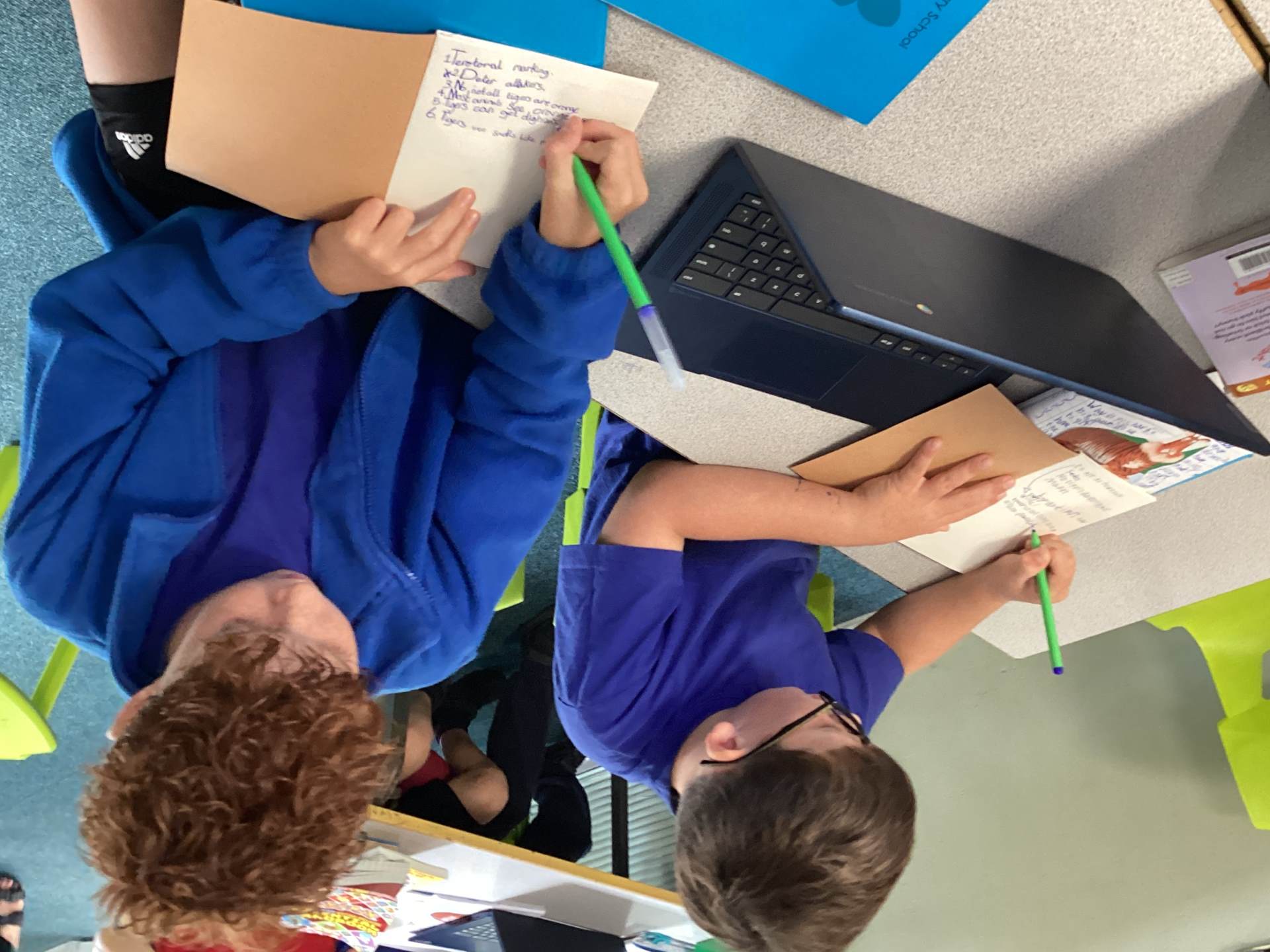 Mini Researchers