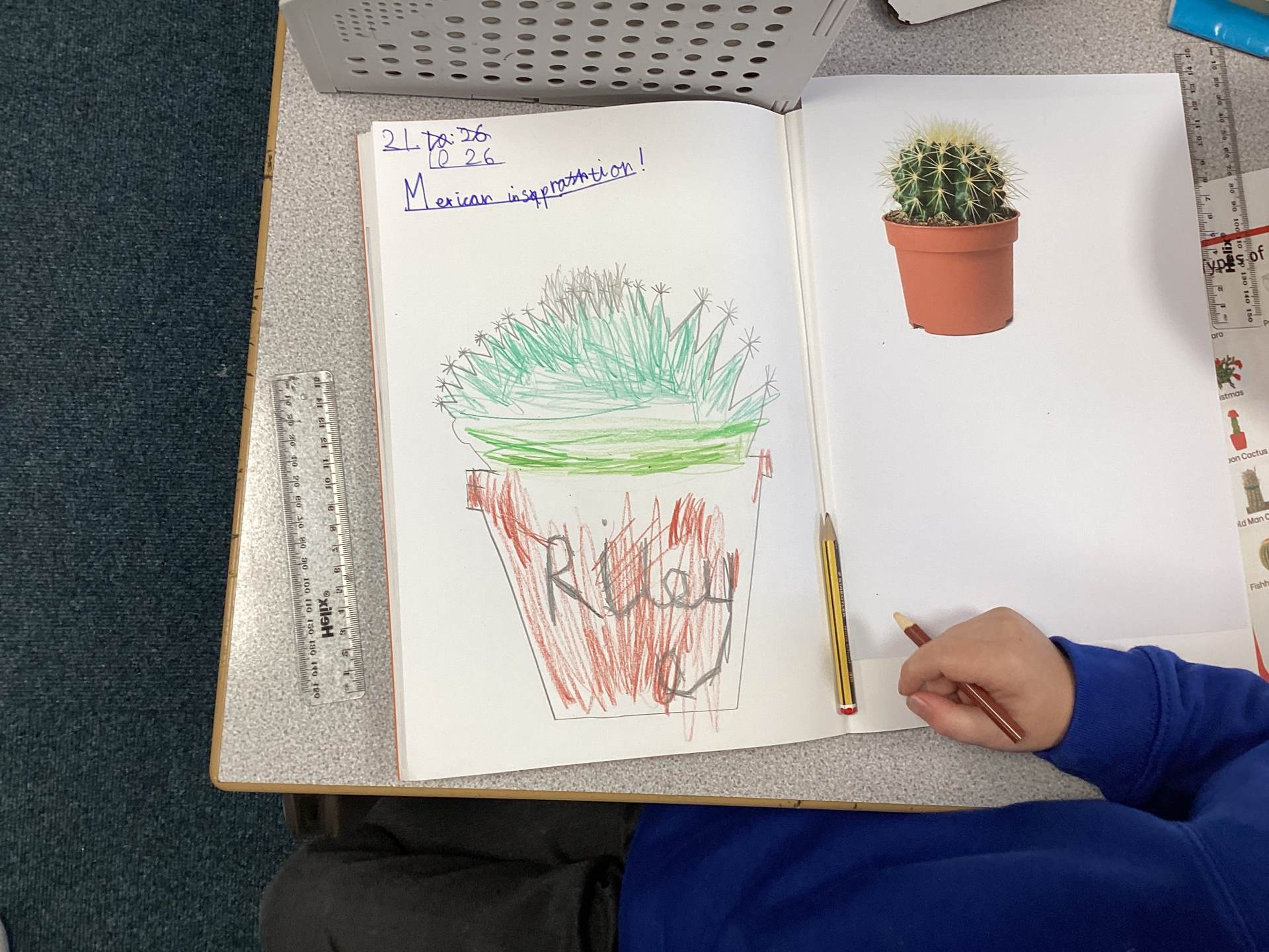 Mexican Inspired Cacti!