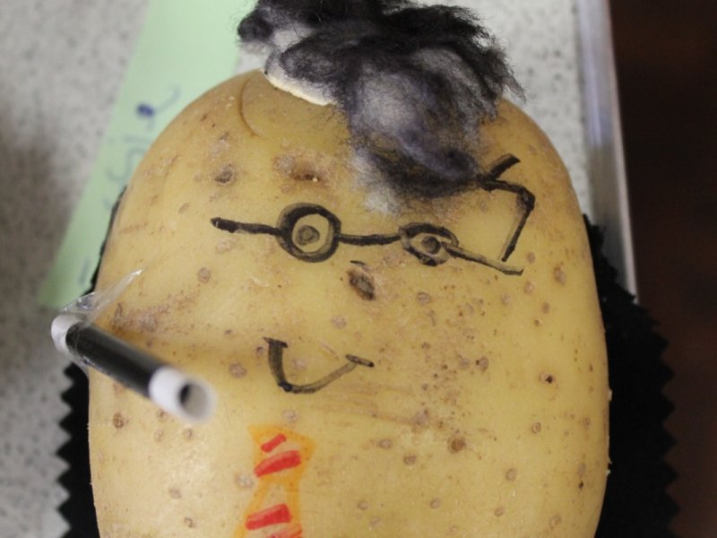 world-book-day-potatoes-2020-021