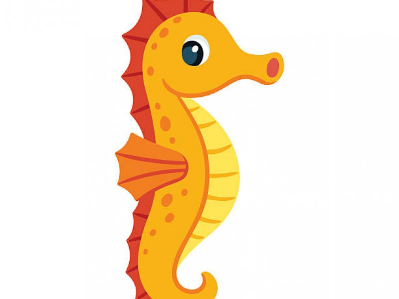 Cute cartoon orange seahorse. Isolated vector illustration.