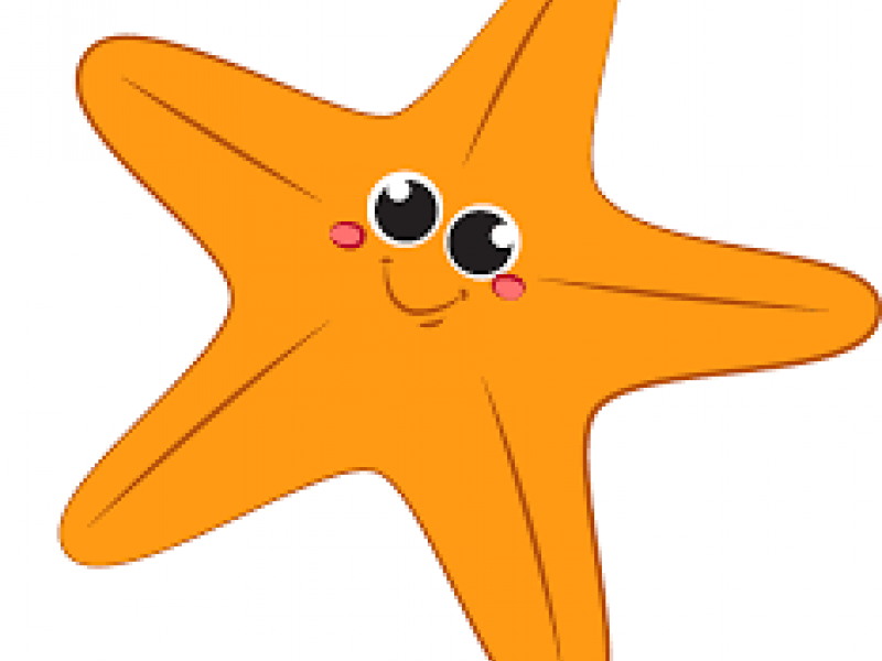 starfish