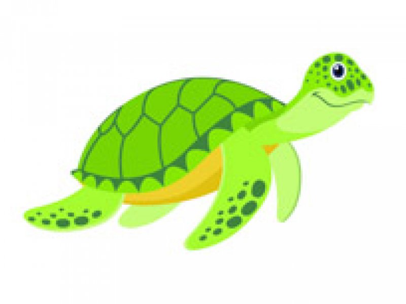 green-sea-turtle-marine-animal-clipart