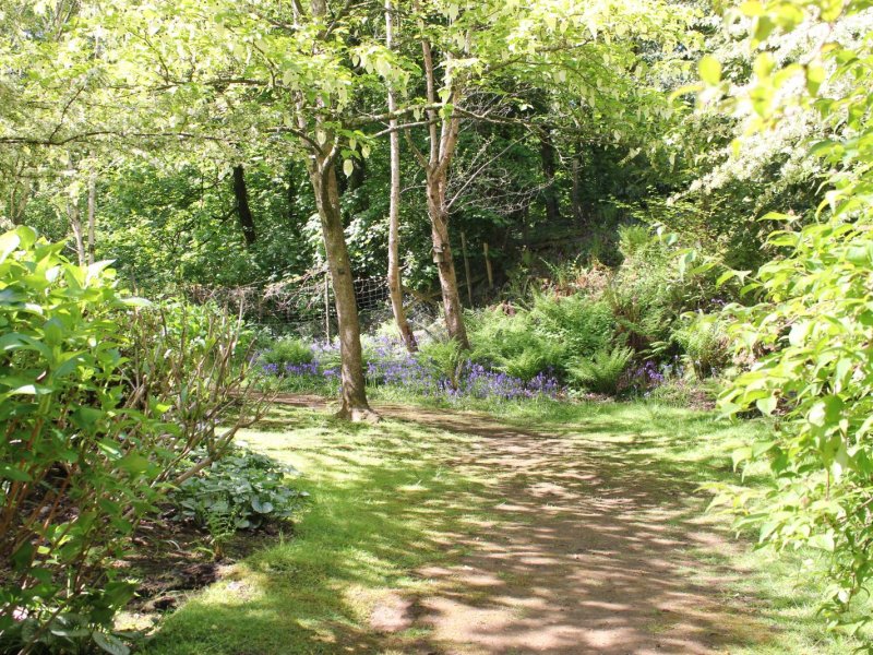 abbotsbury-gardens-y2-2021-052