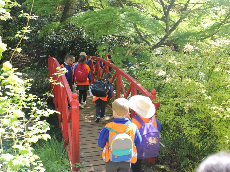 abbotsbury-gardens-y2-2021-054