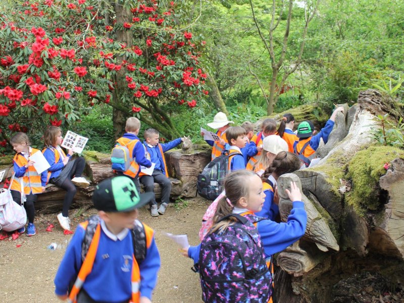 abbotsbury-gardens-y2-2021-055