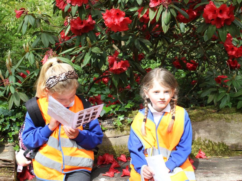 abbotsbury-gardens-y2-2021-056