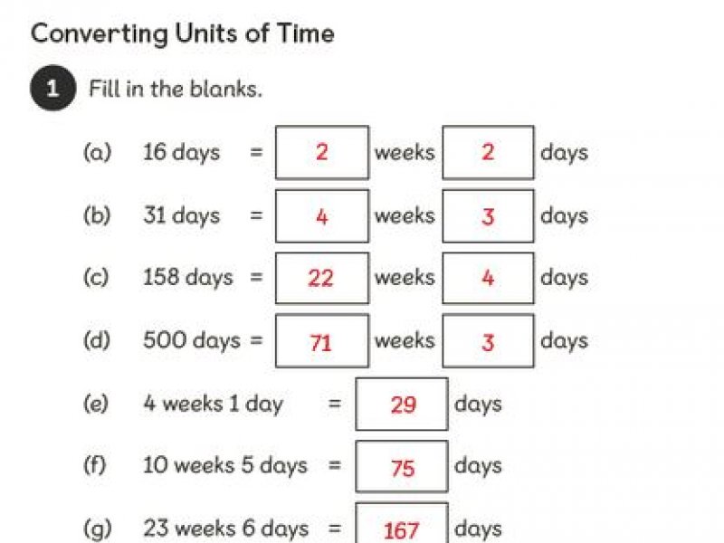 workbook-tues-1