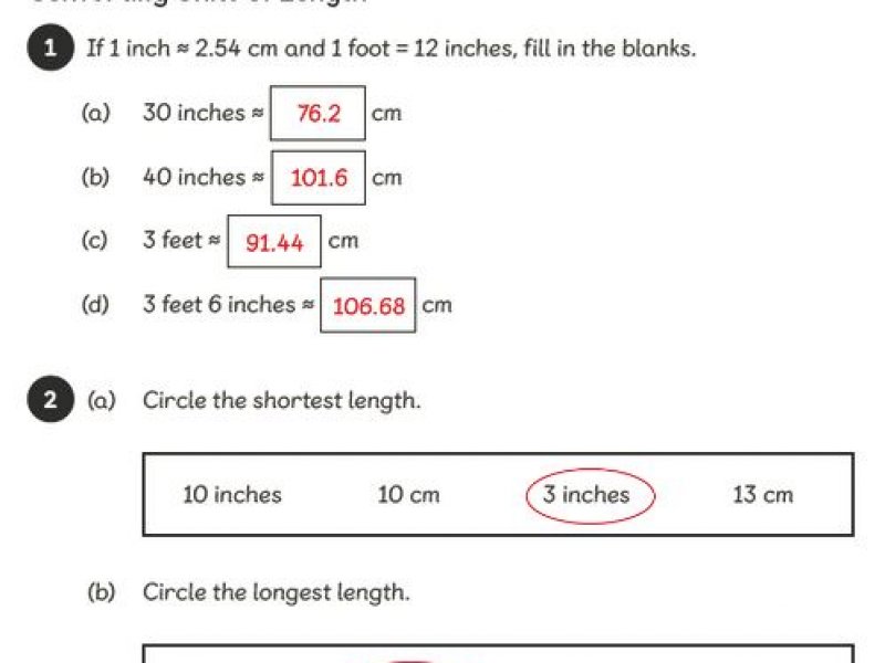 worksheet-4